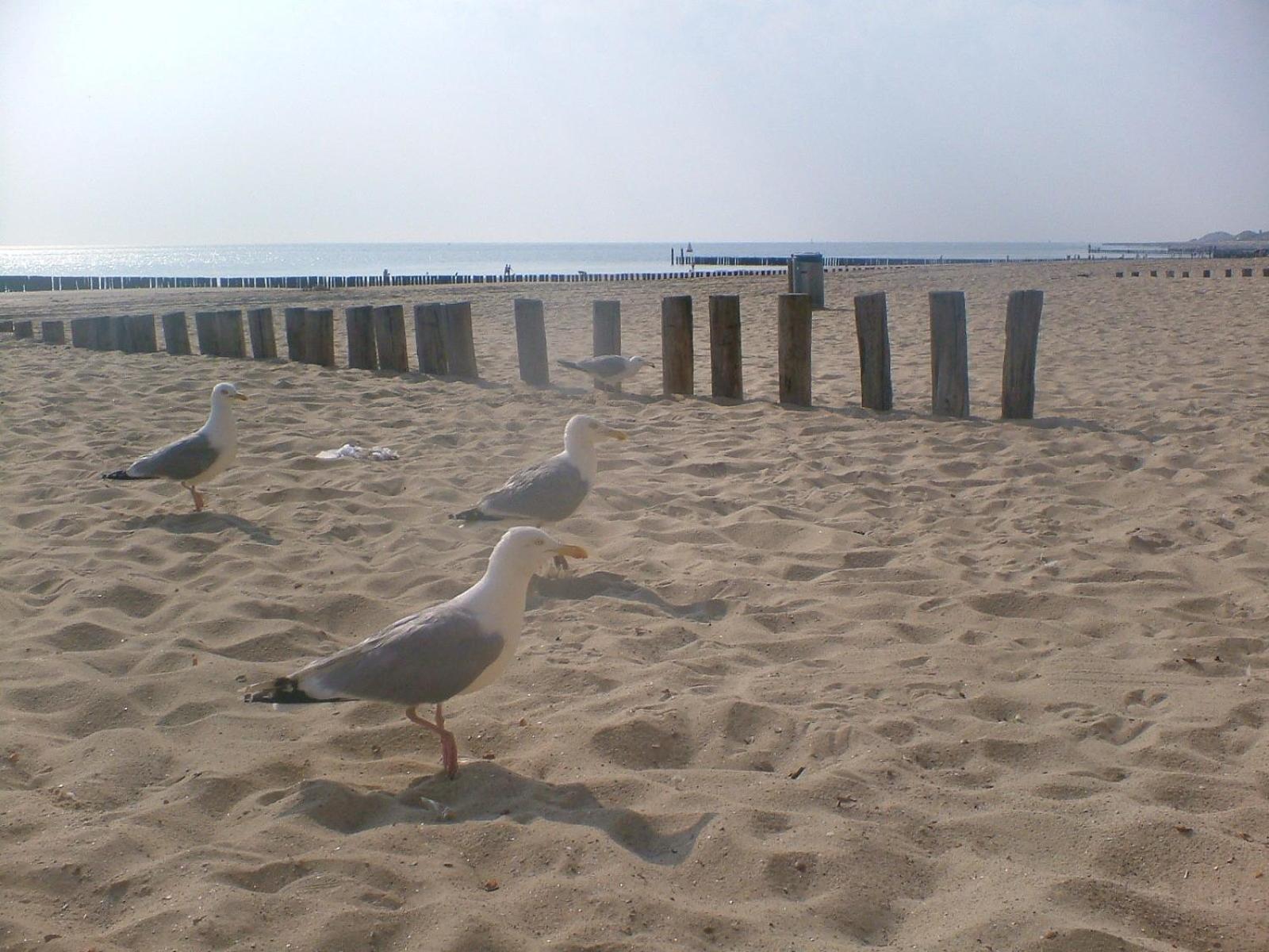 Vakantieverblijf Uit En Thuis Biggekerke Exteriér fotografie